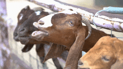 ad9b0e3a-a7e4-4b5f-b8eb-5cb71d587686.gif